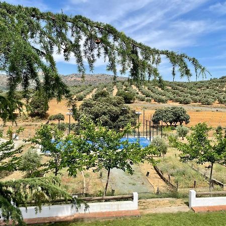 Santa Marta Complejo Rural Con Pista De Padel Guest House Archidona Exterior photo