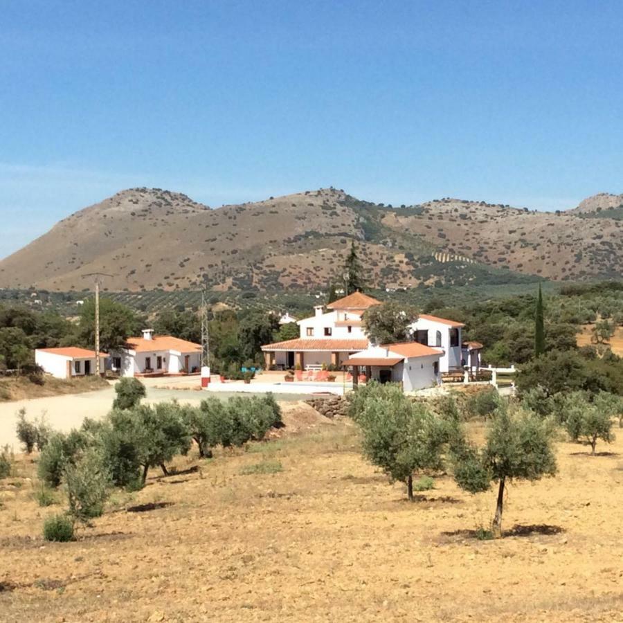 Santa Marta Complejo Rural Con Pista De Padel Guest House Archidona Exterior photo