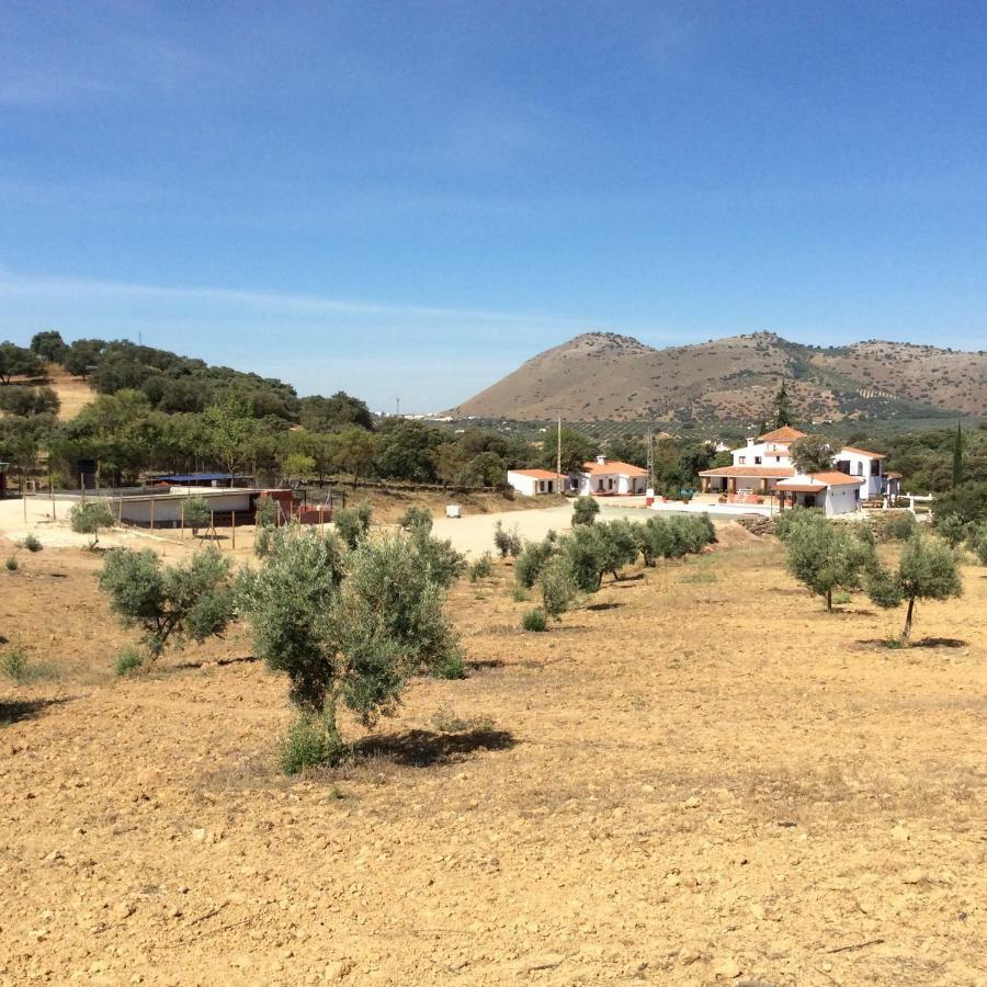 Santa Marta Complejo Rural Con Pista De Padel Guest House Archidona Exterior photo